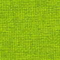 HT0019 var.10